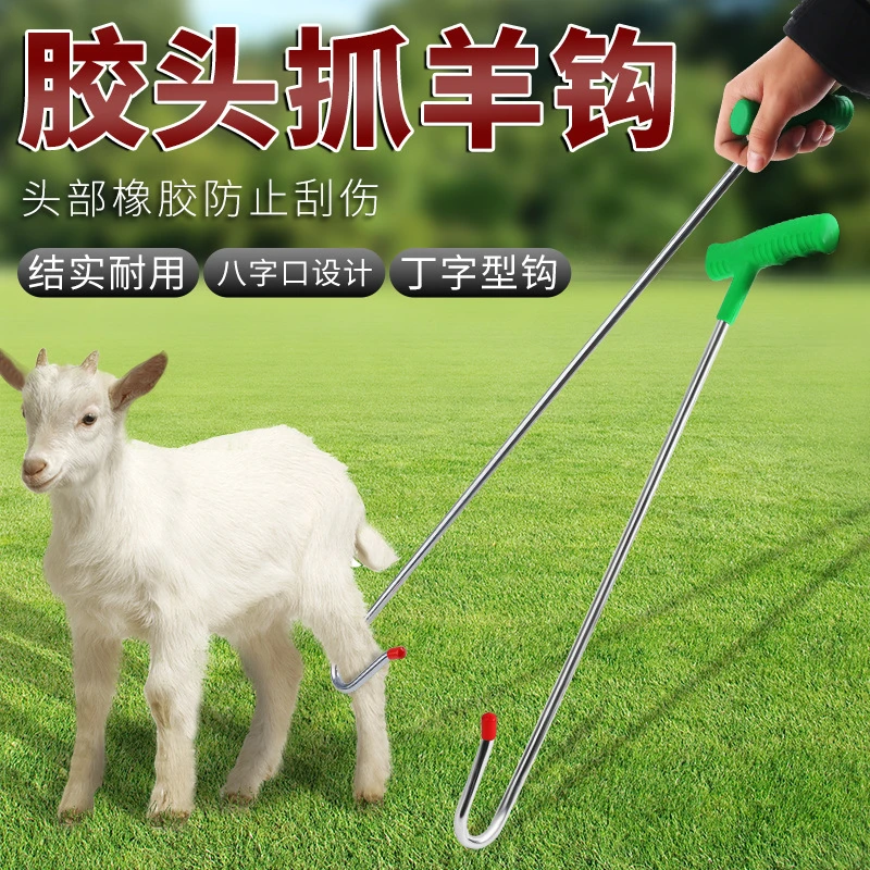 抓羊钩子逮羊工具神器山羊抓羊钩绵羊剪羊毛不锈钢捉羊勾子羊脚钩