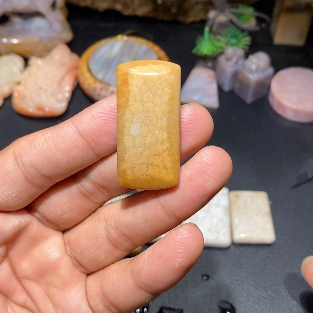 【闪购商品】硅化玉颈饰未镶嵌