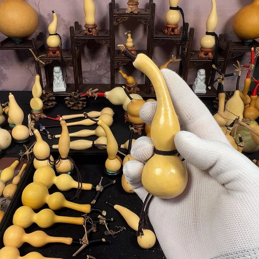 8***8哈哈哈哈哈哈哈哈哈哈