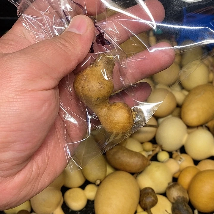 小***芦精品葫芦手把葫芦94