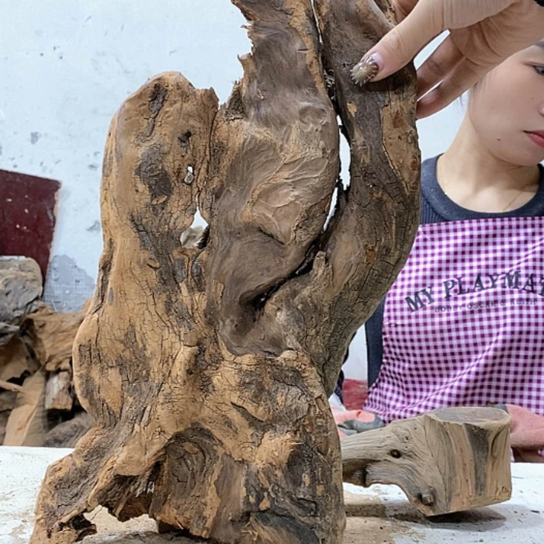 【闪购商品】柏木九*。我们都是好孩子