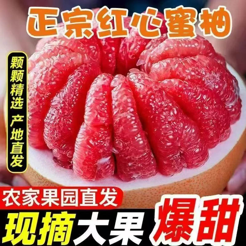柚子红心蜜柚5/9斤新鲜水果红心柚子爆甜多汁当季柚子