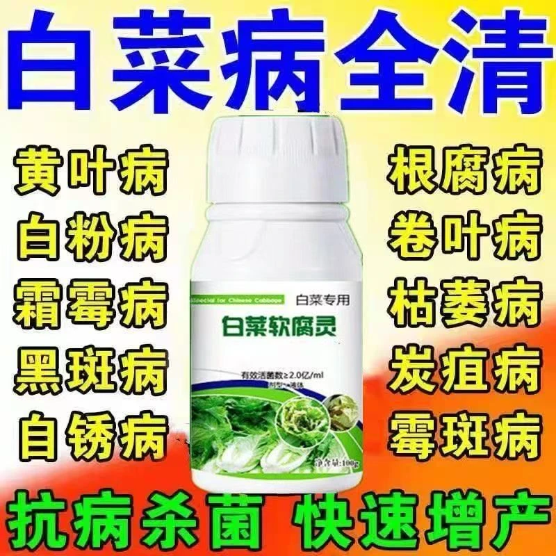 白菜防腐防烂药白菜包心剂大白菜黄叶软腐灰霉专用菌剂