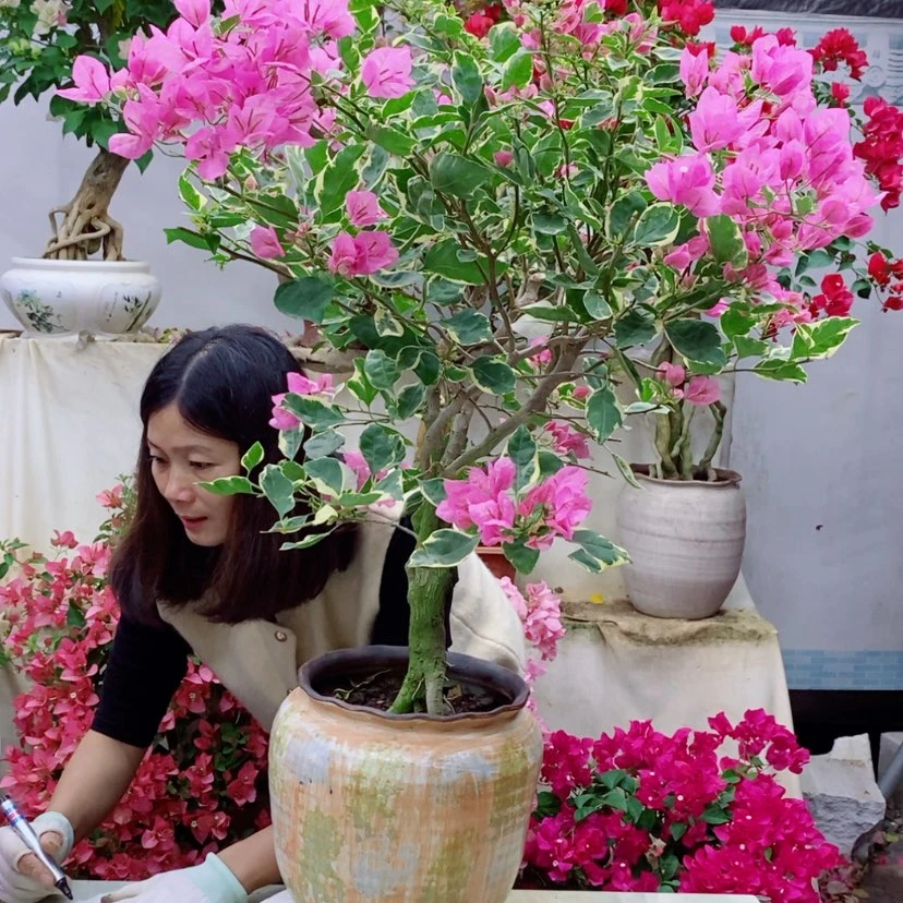 【闪购商品】完全开放我要