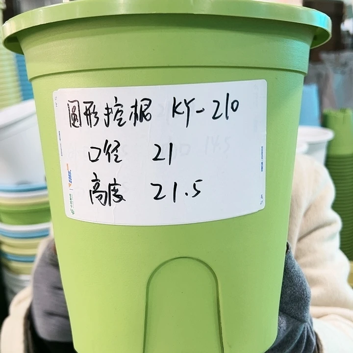 正品圆形控根口21高21果绿色8个无托