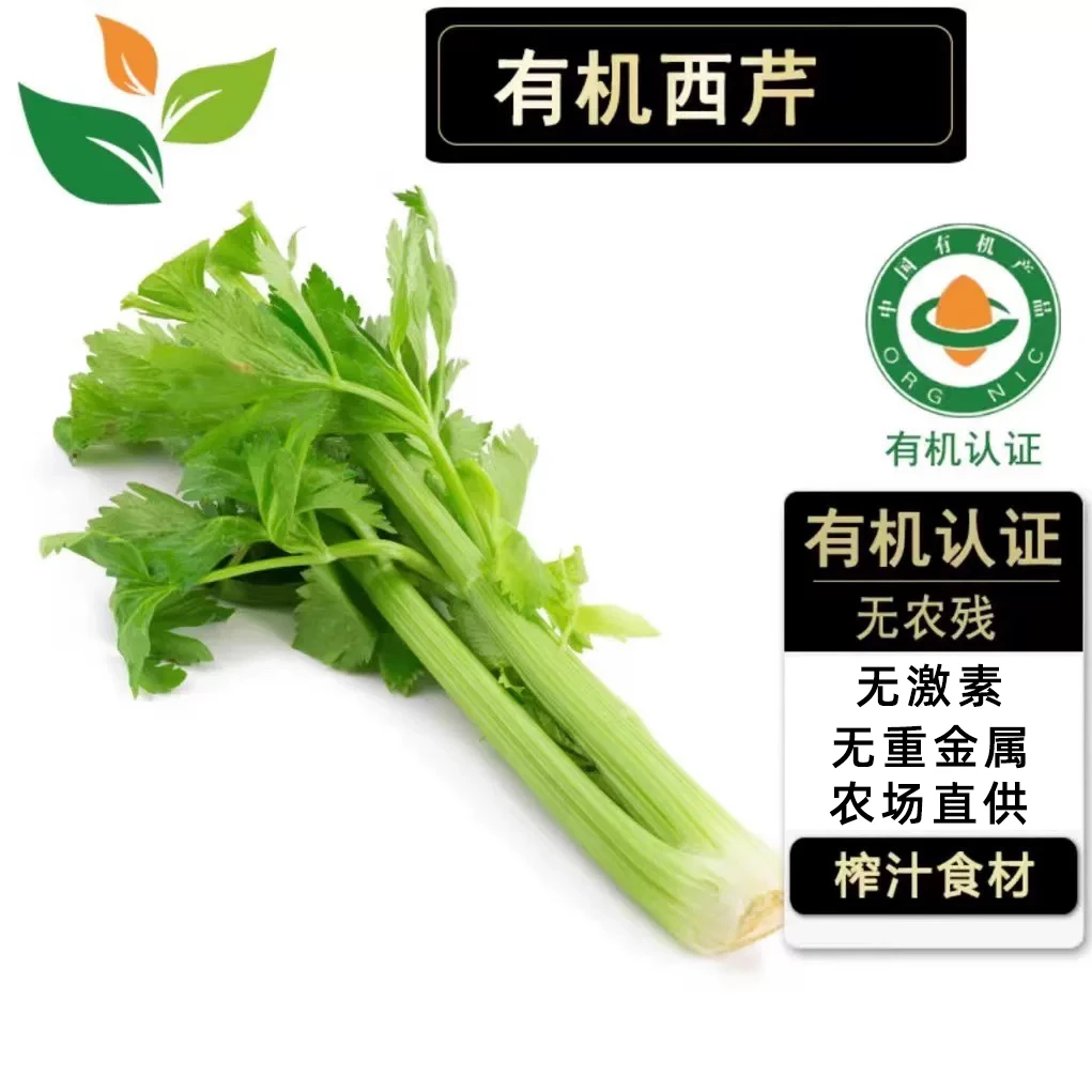 10斤/5斤农场直供有机西芹有机蔬菜芹菜现摘新鲜榨汁食用芹菜