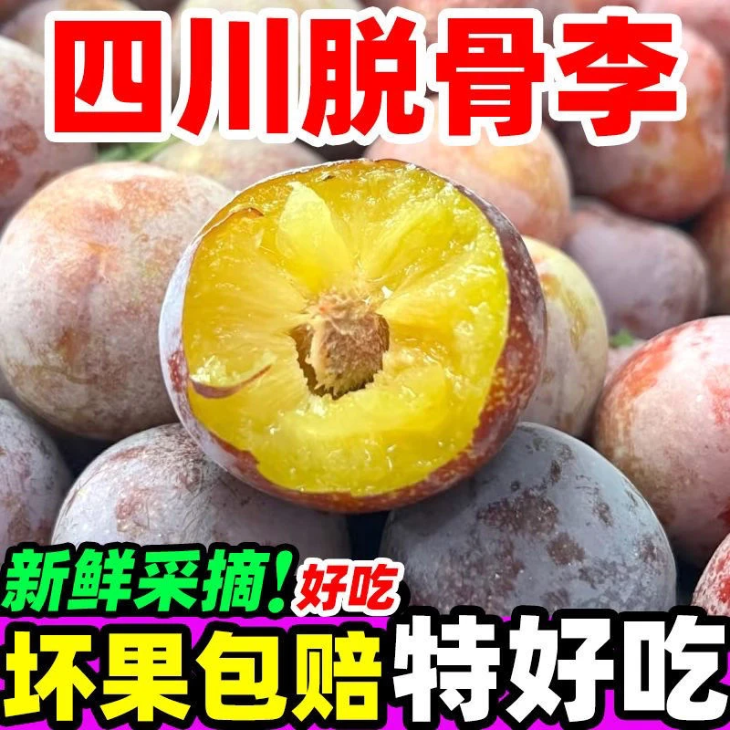 【果园现摘】正宗四川脱骨李子空心李酸甜脆红李茵红李新鲜水果