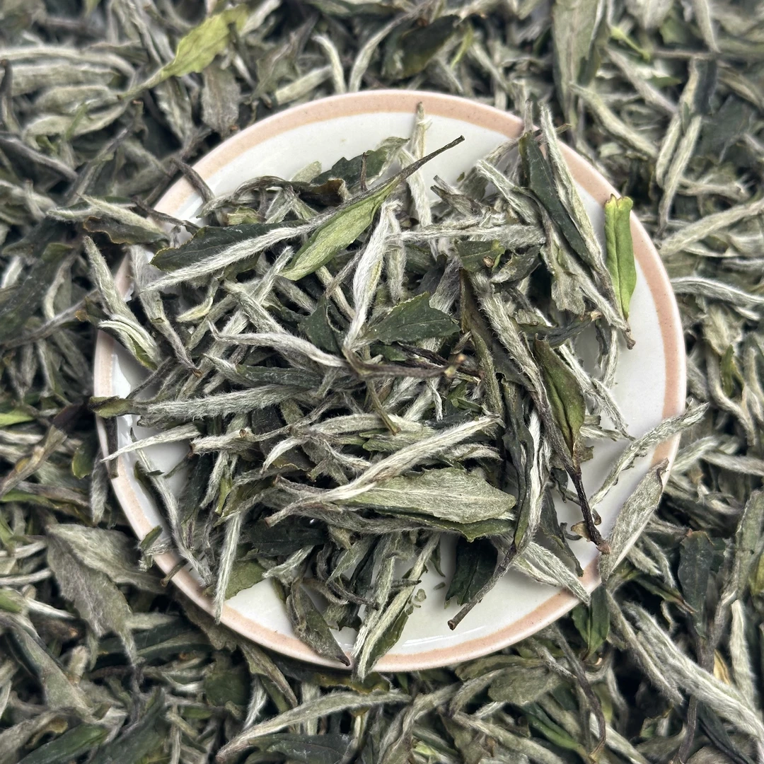 （新年福利）2024年福建高山牡丹王