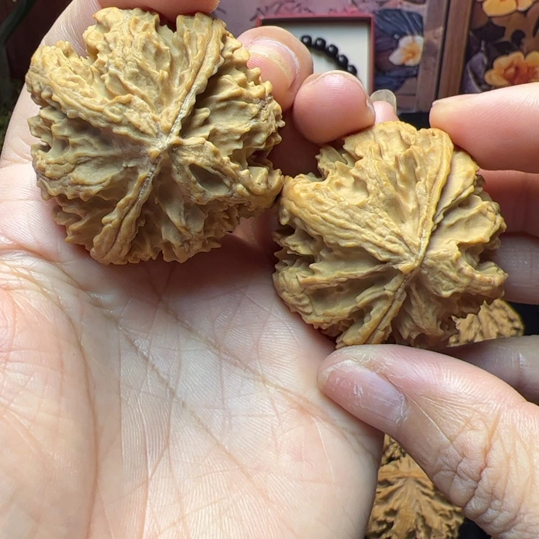 文玩核桃把件秦岭野生文玩核桃