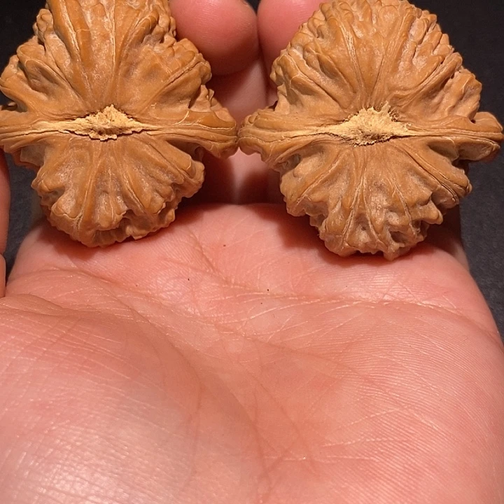 加***带手串/手链核桃40 三角白