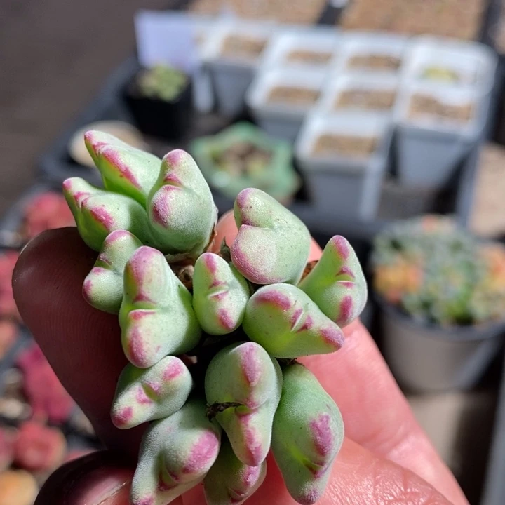 4107一个一个一个