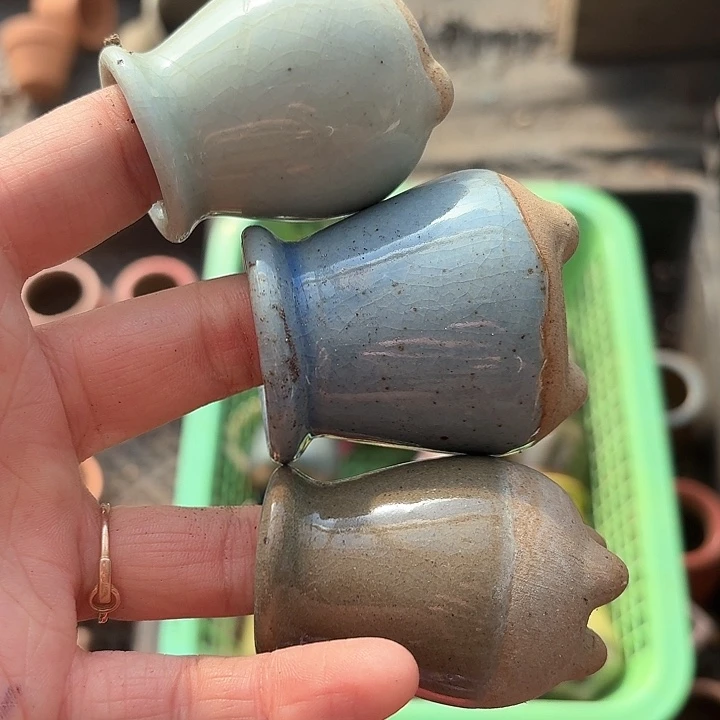 你****！g k x c b x d 143