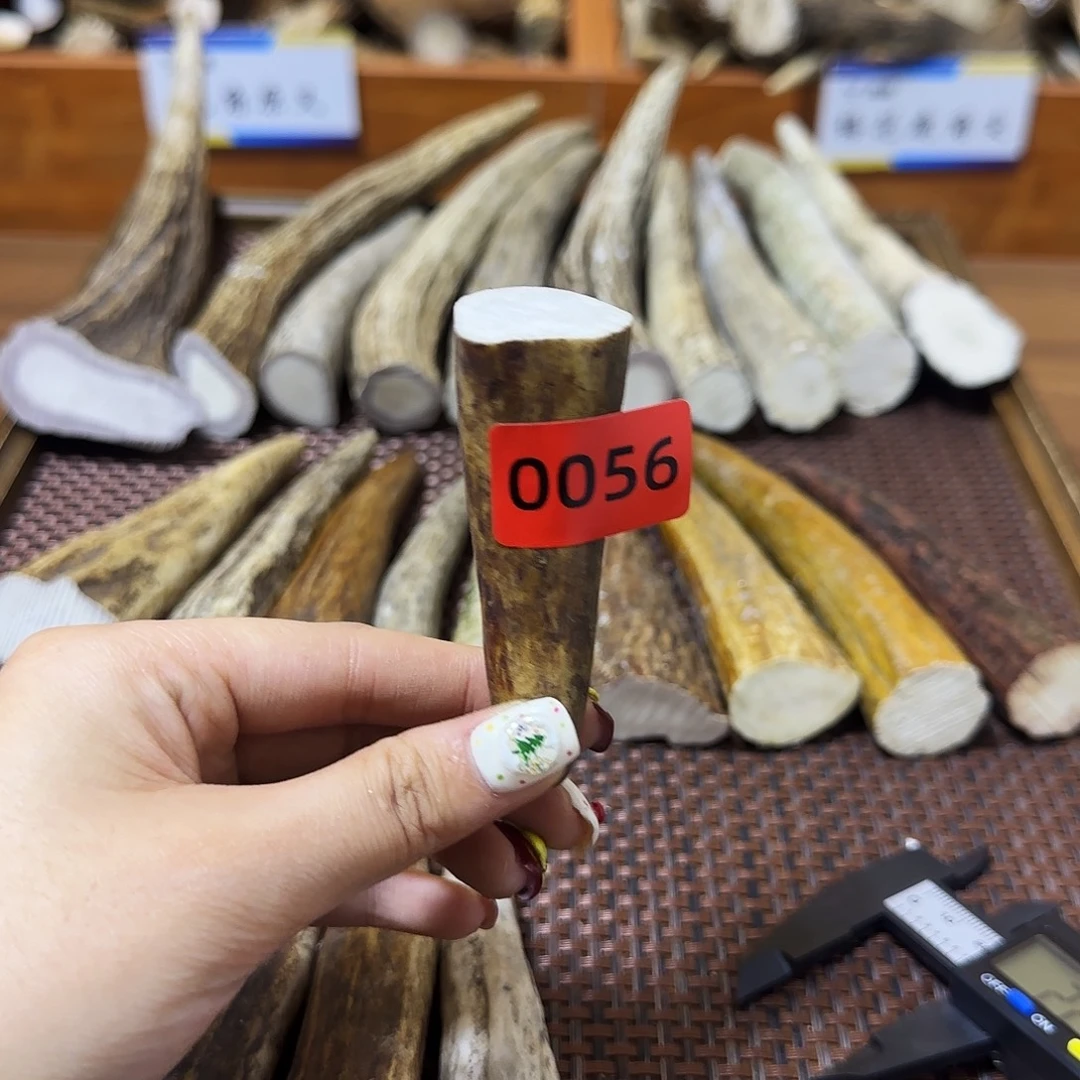 鹿骨手串/手链角尖0056