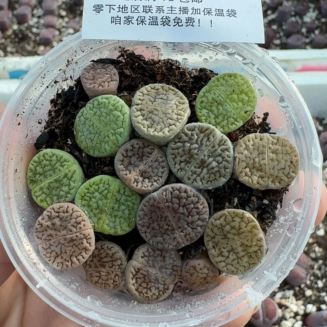 1391 哈哈哈哈哈哈哈哈哈哈