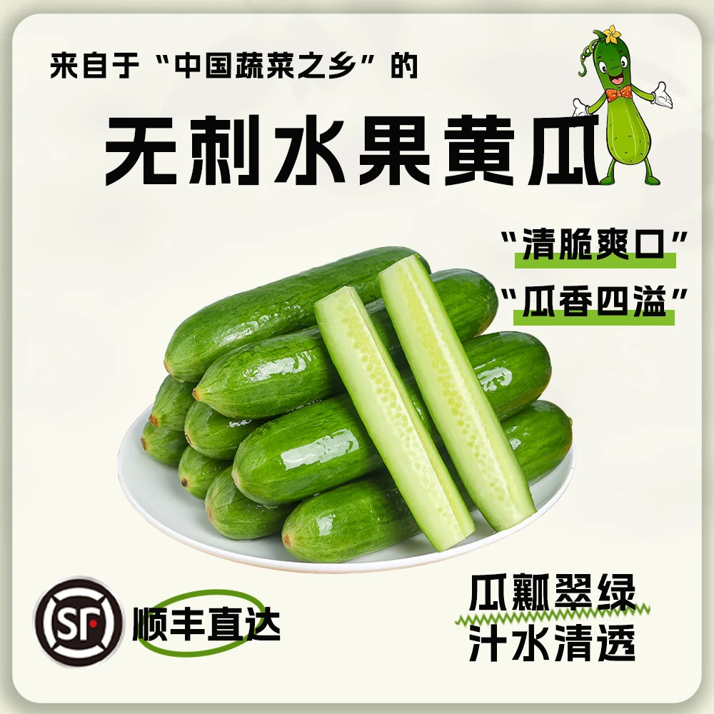 水果新鲜正宗小黄瓜无刺山东寿光农家小青瓜清脆代餐新鲜现摘现发理想山东省山东省潍坊市