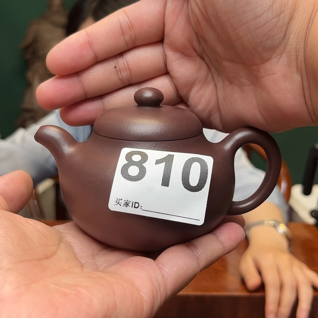 茶壶紫砂晴**燕大雪紫砂