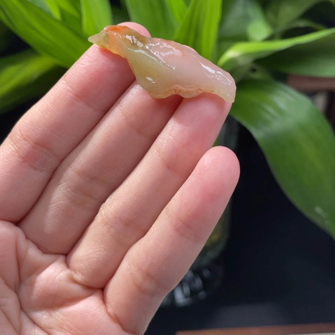 翡翠未镶嵌颈饰富贵鸟