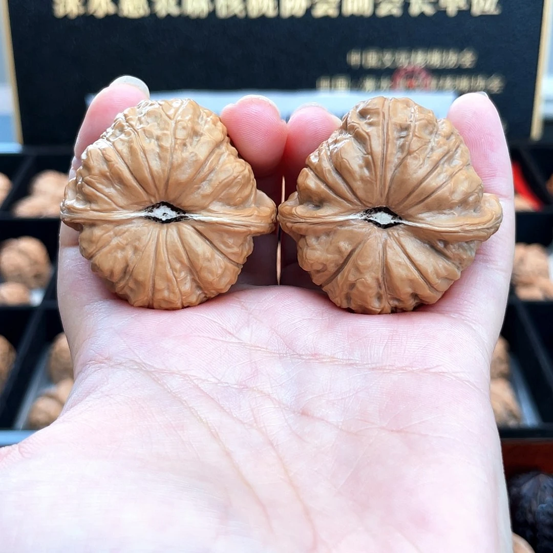 把件文玩核桃44毕业级正圆凹底➕正肩4403