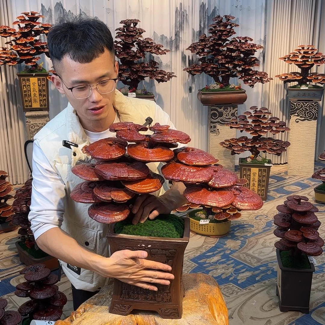 无花朵888888888888888