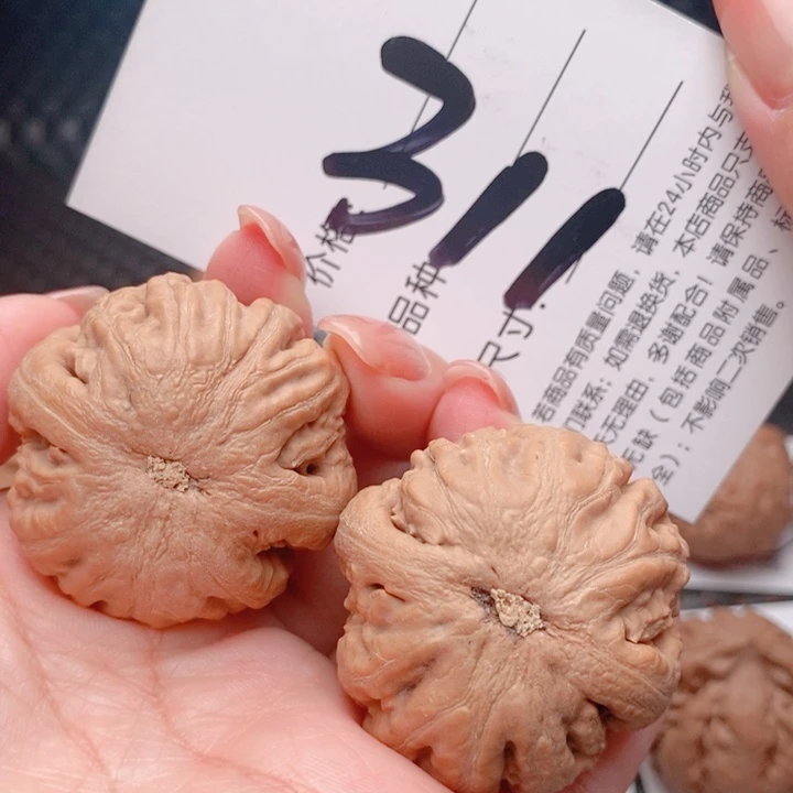 文玩核桃吊坠༺****༻311号 39尺 霸王龙