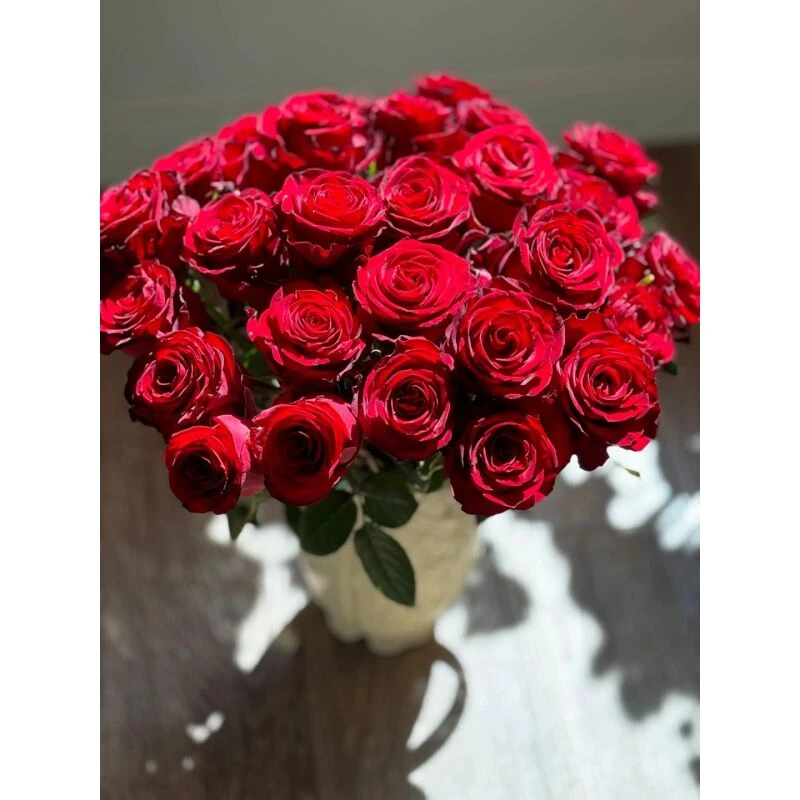 高原红 单头玫瑰（两单升级空运）