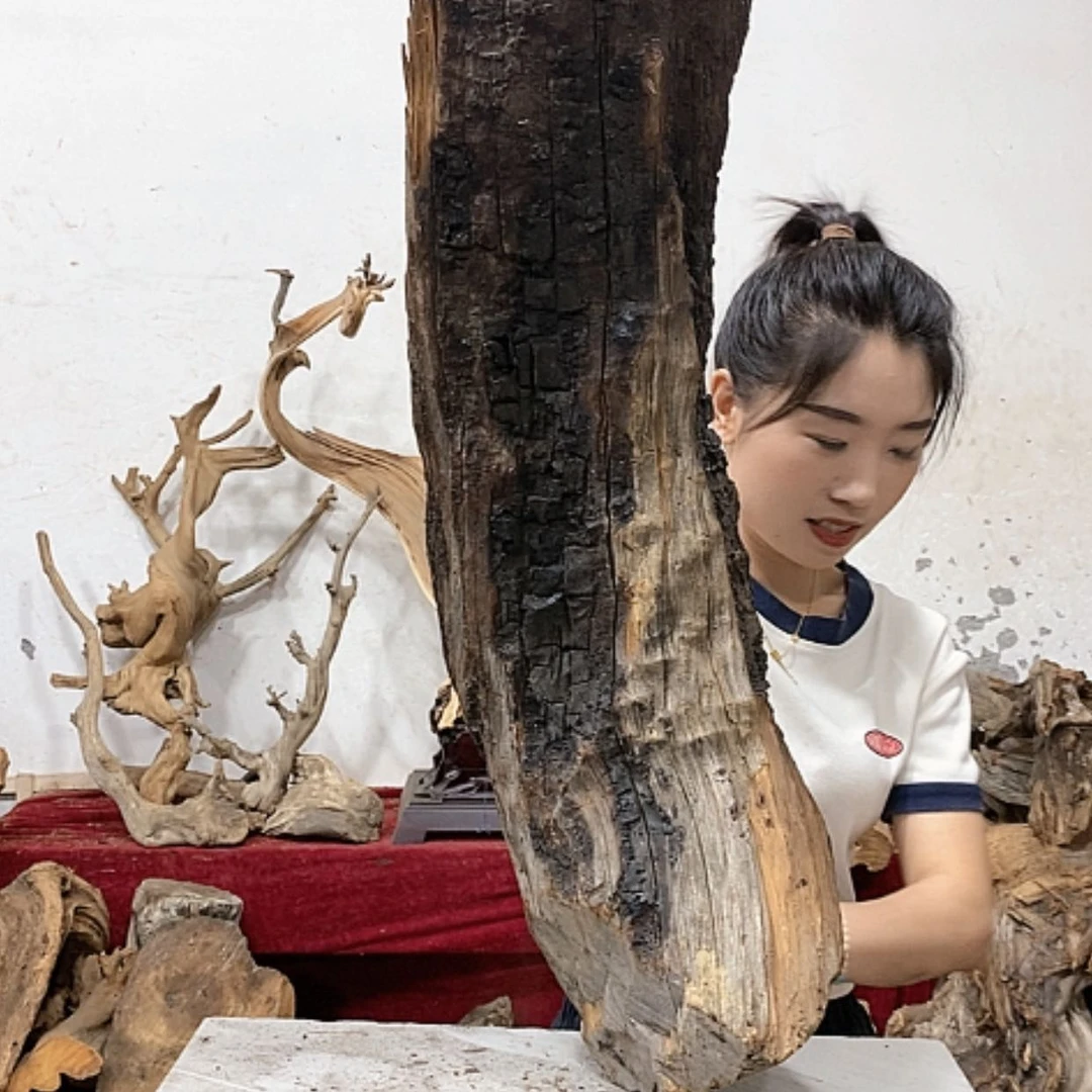 【闪购商品】柏木上****啦我们都是好孩子