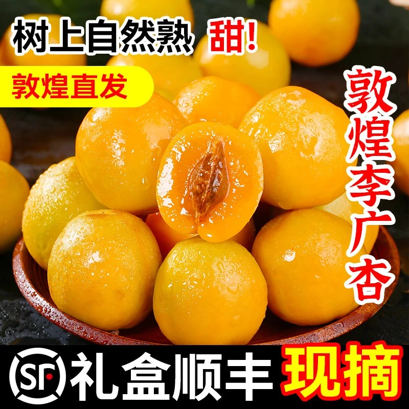 【1-5斤礼盒装】李广杏敦煌当季水果新鲜杏子整箱甘肃特产顺丰包邮