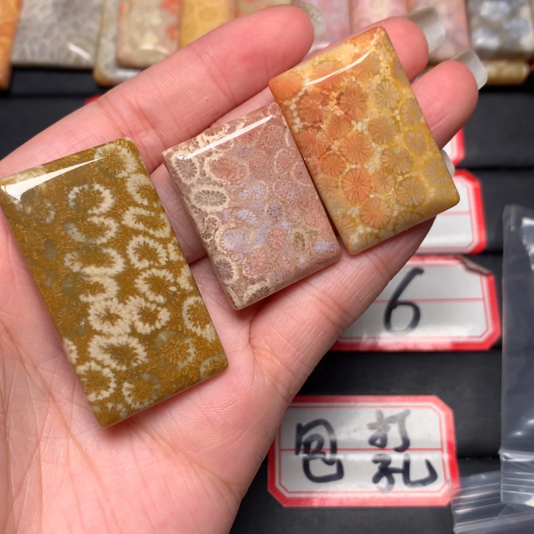 【闪购商品】未镶嵌颈饰硅化玉钱**1