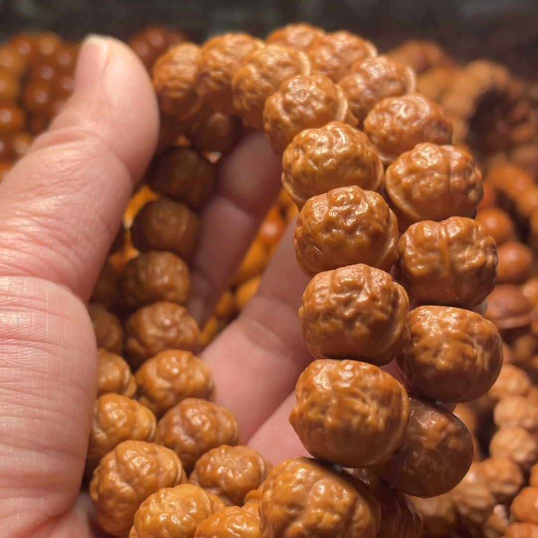 用***5核桃猴头核桃树是