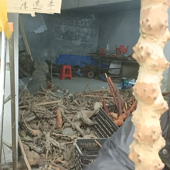 稳定木笑*尘贵州檬子木   铁马鞭   根艺  半成品