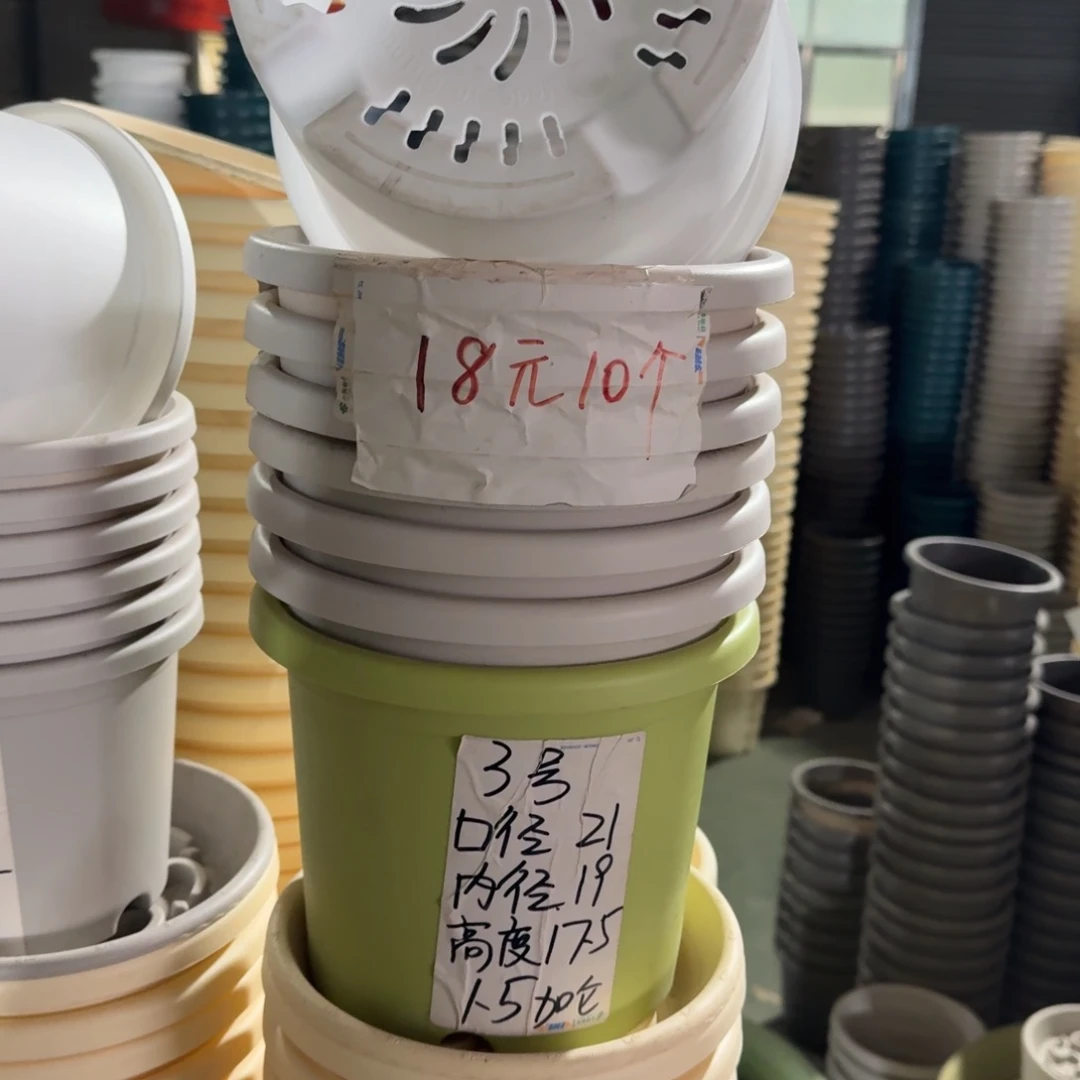 四季3#口径21无拖果绿10个