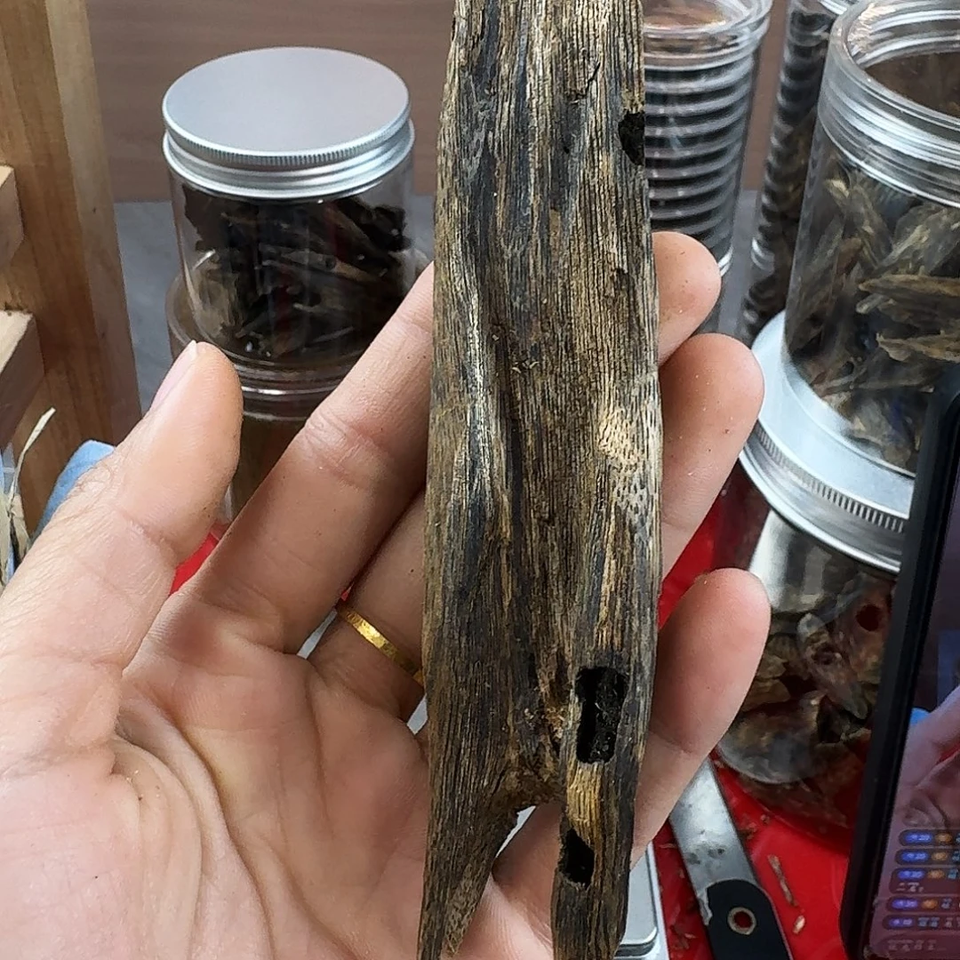 香料绿奇楠虫漏乌身圆叶17克