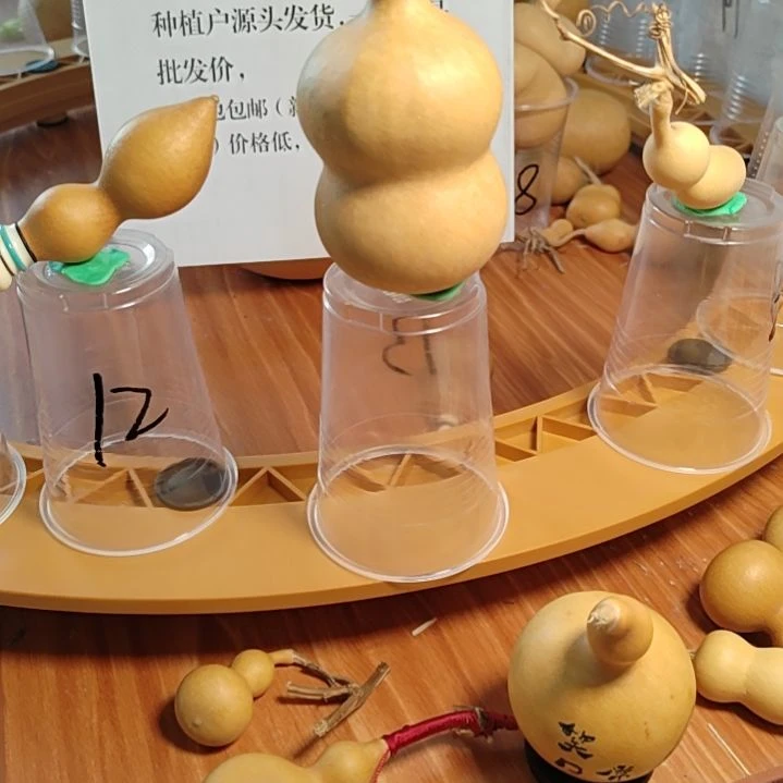 13号自助下单了吗？？？