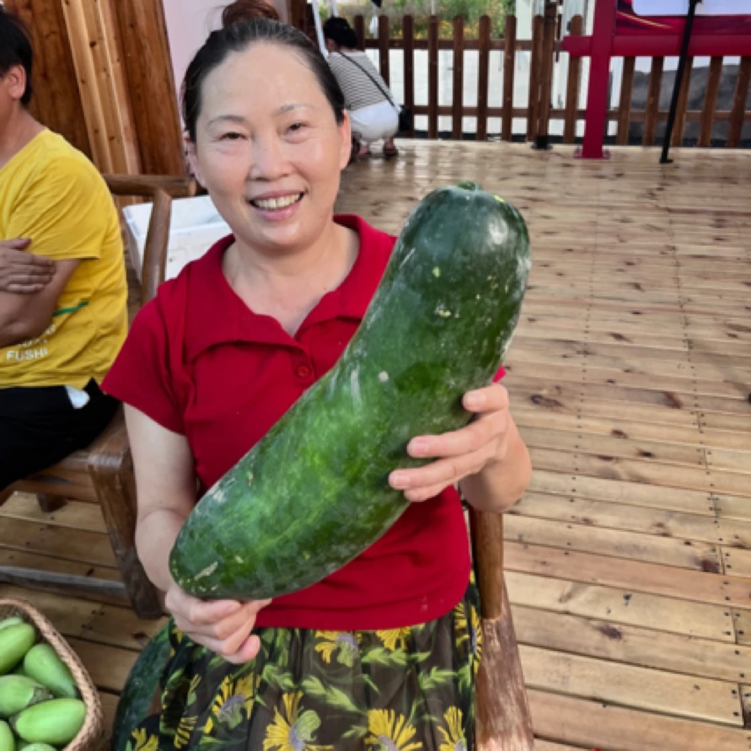 青皮冬瓜 农户自种