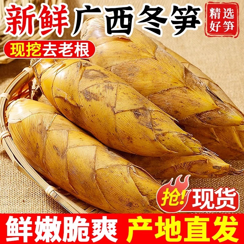 高山冬笋新鲜竹笋10农家蔬菜现挖鲜笋雷笋毛竹笋冬笋黄泥笋包邮