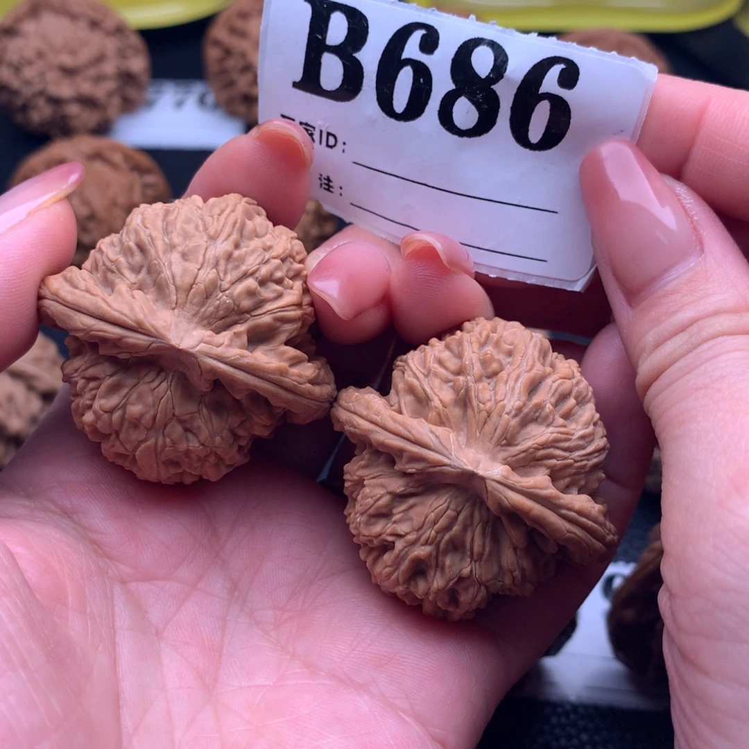 核桃白狮686链接41尺全