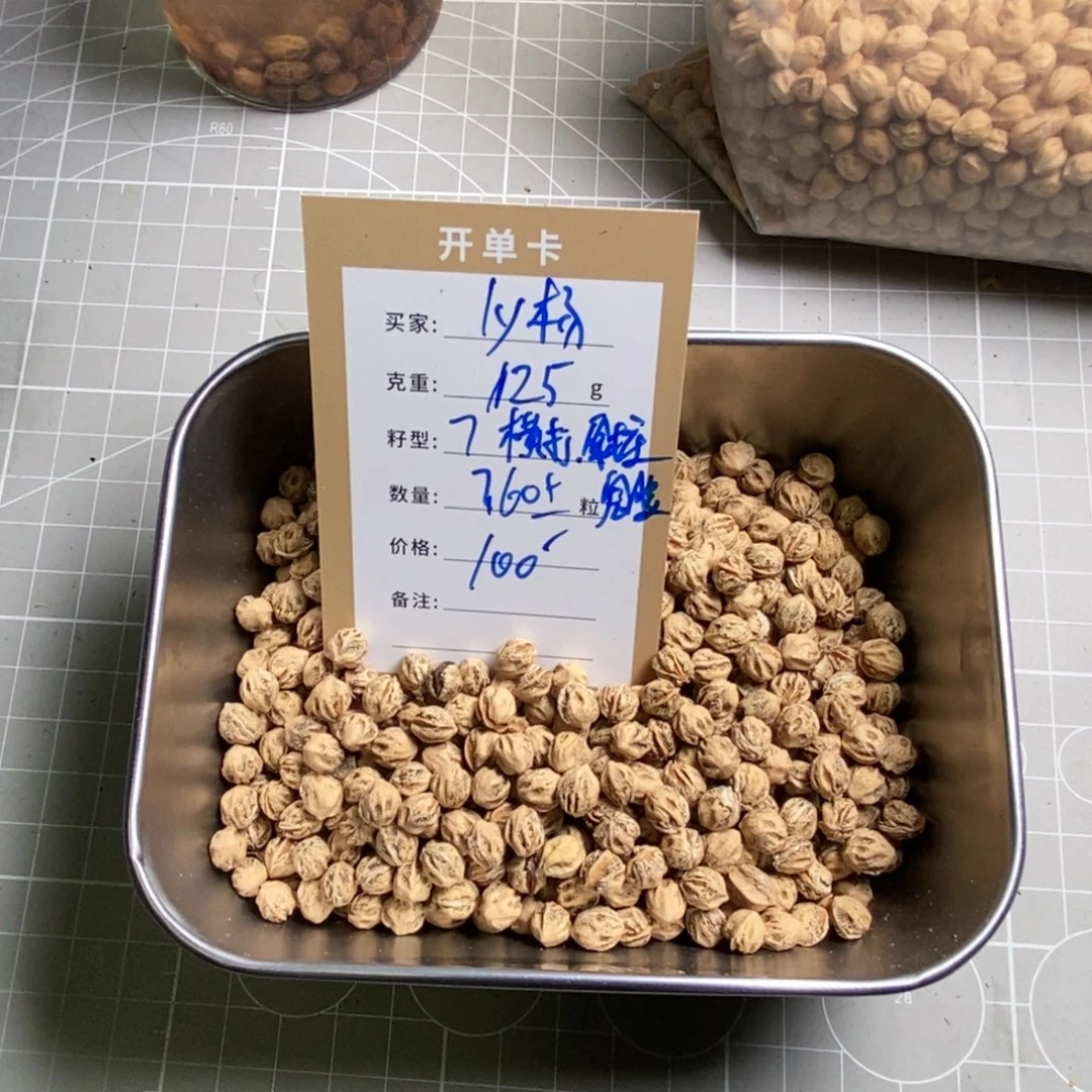 吊坠柏香籽/百香籽