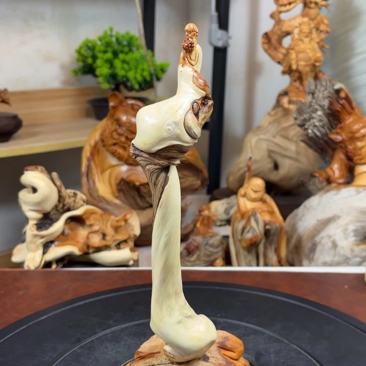 柏木（崖柏）chbvbbbbnjj