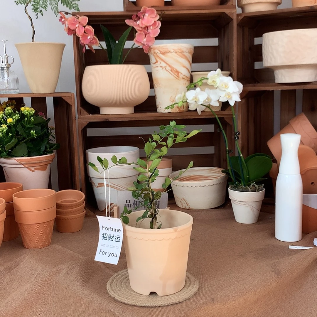 微瑕赫莲娜渐变色口14.5高13.5