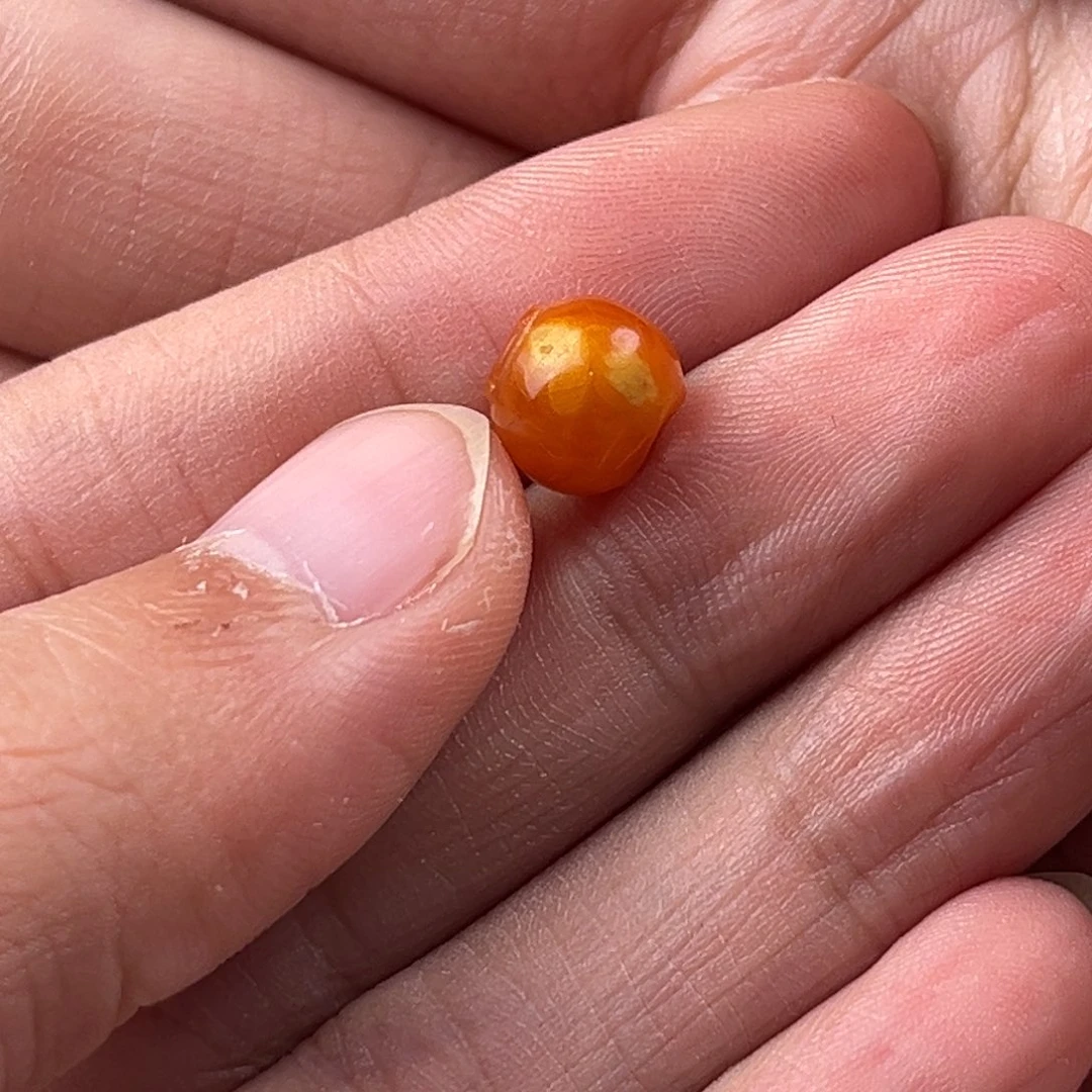 Z***N蜜蜡未镶嵌颈饰老蜜蜡