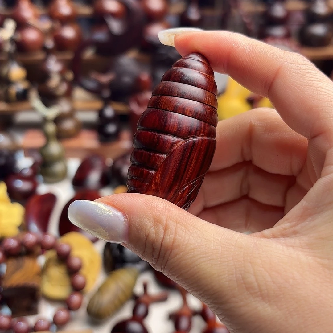 东非小叶紫檀蚕蛹