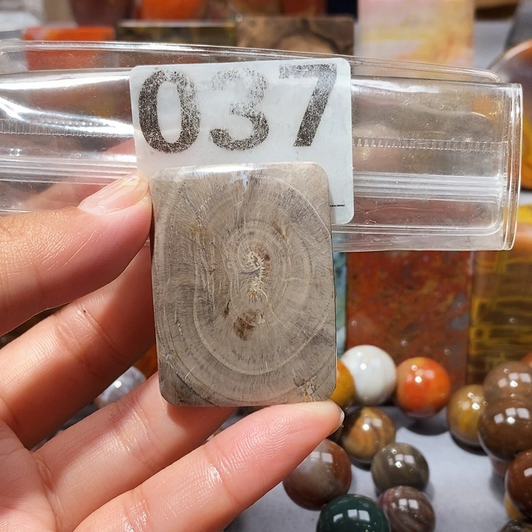 硅化玉天然北票硅化玉吊坠未镶嵌