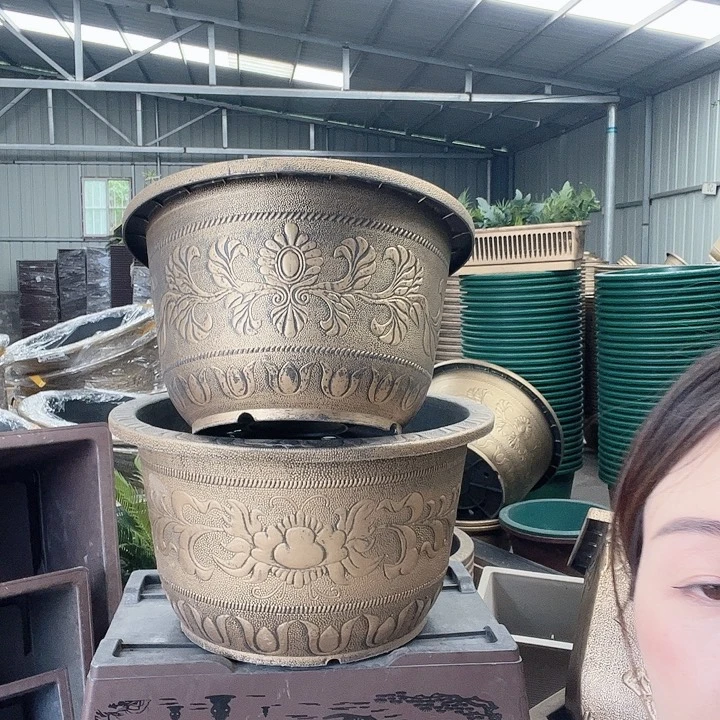 梅花照眼 依然旧风味