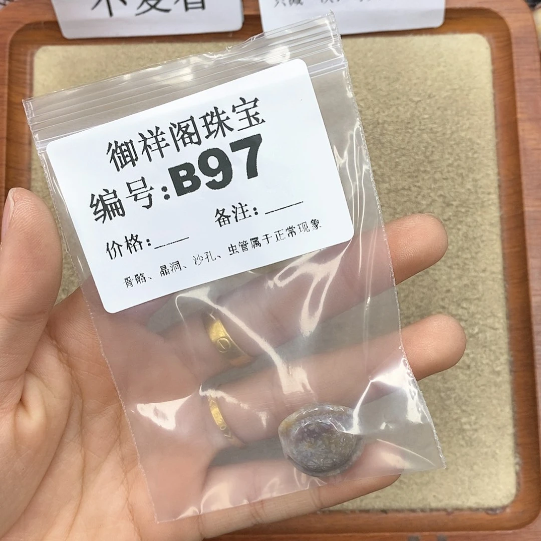 硅化珊瑚（珊瑚玉）颈饰未镶嵌星****.