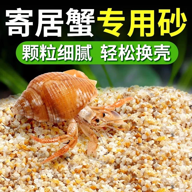 免洗海沙寄居蟹专用沙水草螃蟹底沙石乌龟纯天然鱼缸底砂造景饲养