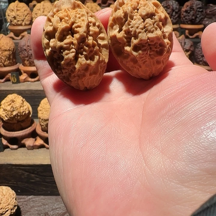 卡***耐核桃经典名款佛莲花36尺