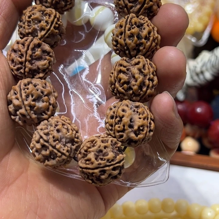 大果紫檀（缅甸花梨）1.2金线全品