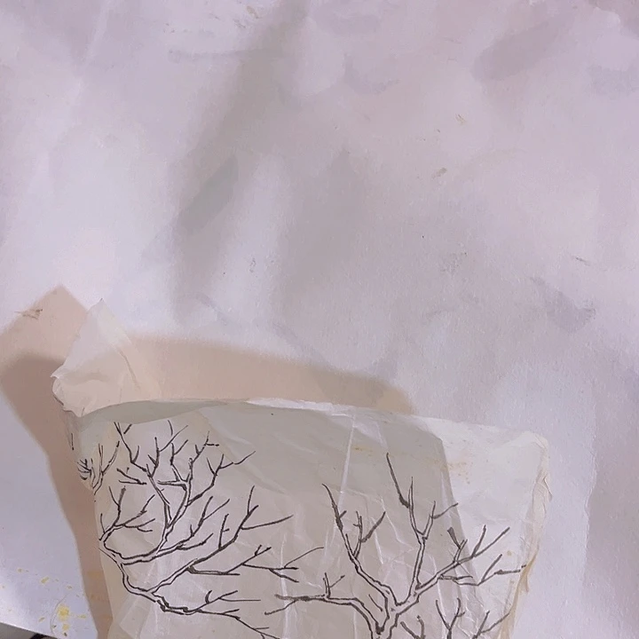 杂色豆（科檀/科特迪瓦檀木）王*峰