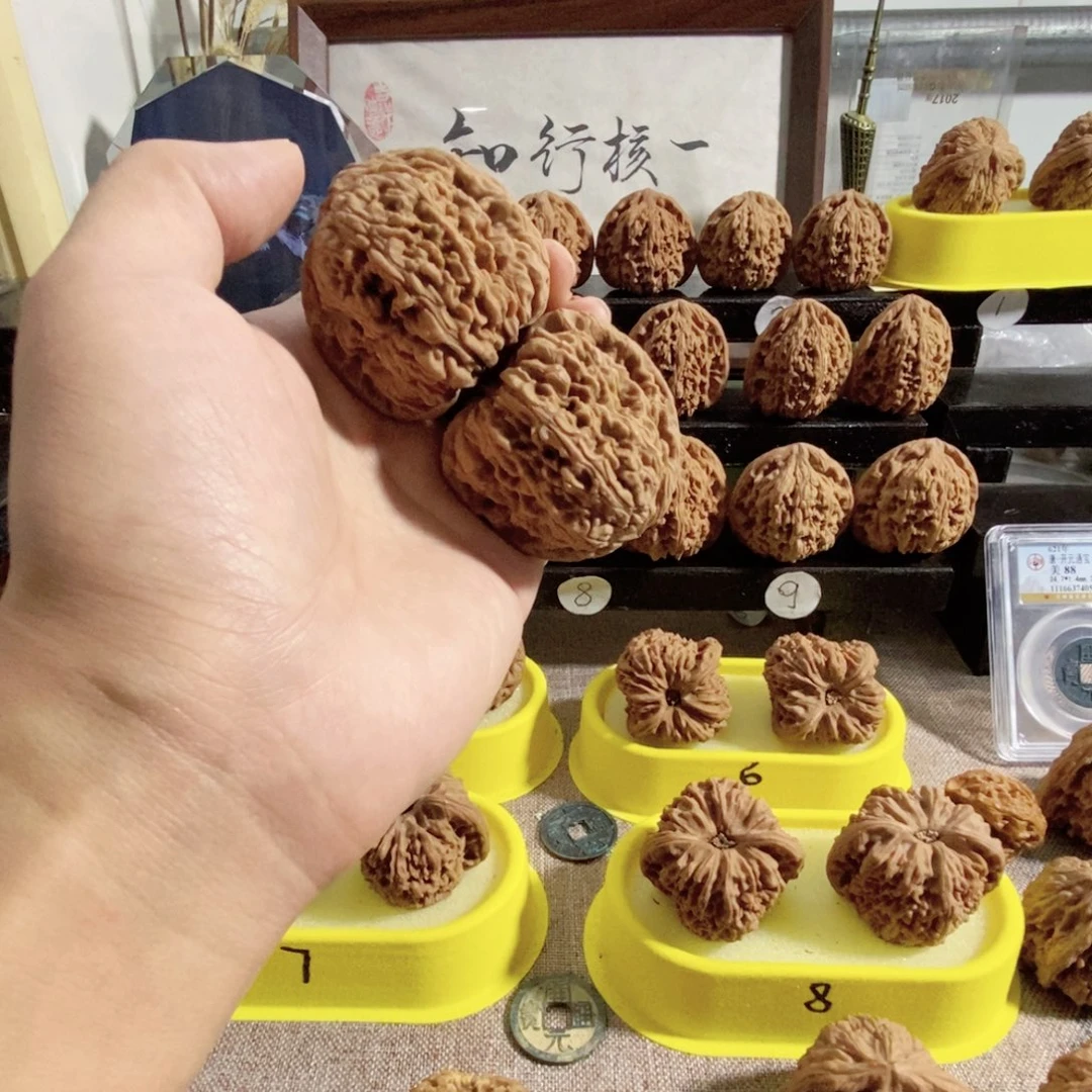 木质类47尺57克福利对