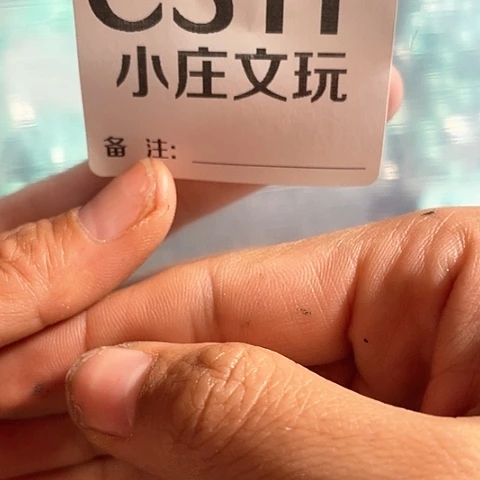 【闪购商品】石英石铁合金311